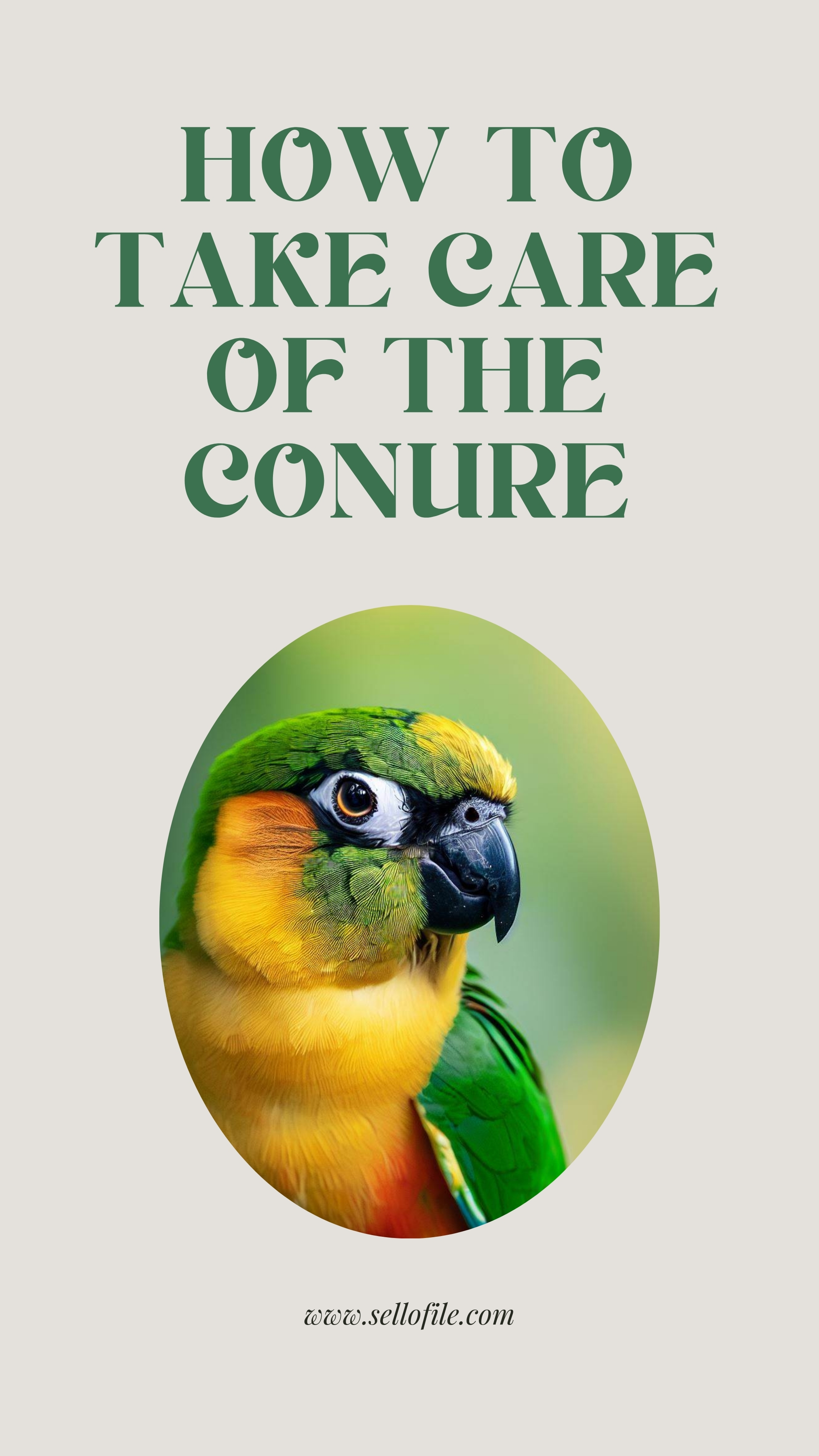 https://www.sellofile.com/storage/images/PwaIt9oD5ZmZbpUVMvoJDnu1d5ejsOPUO1gzsYRU.jpg