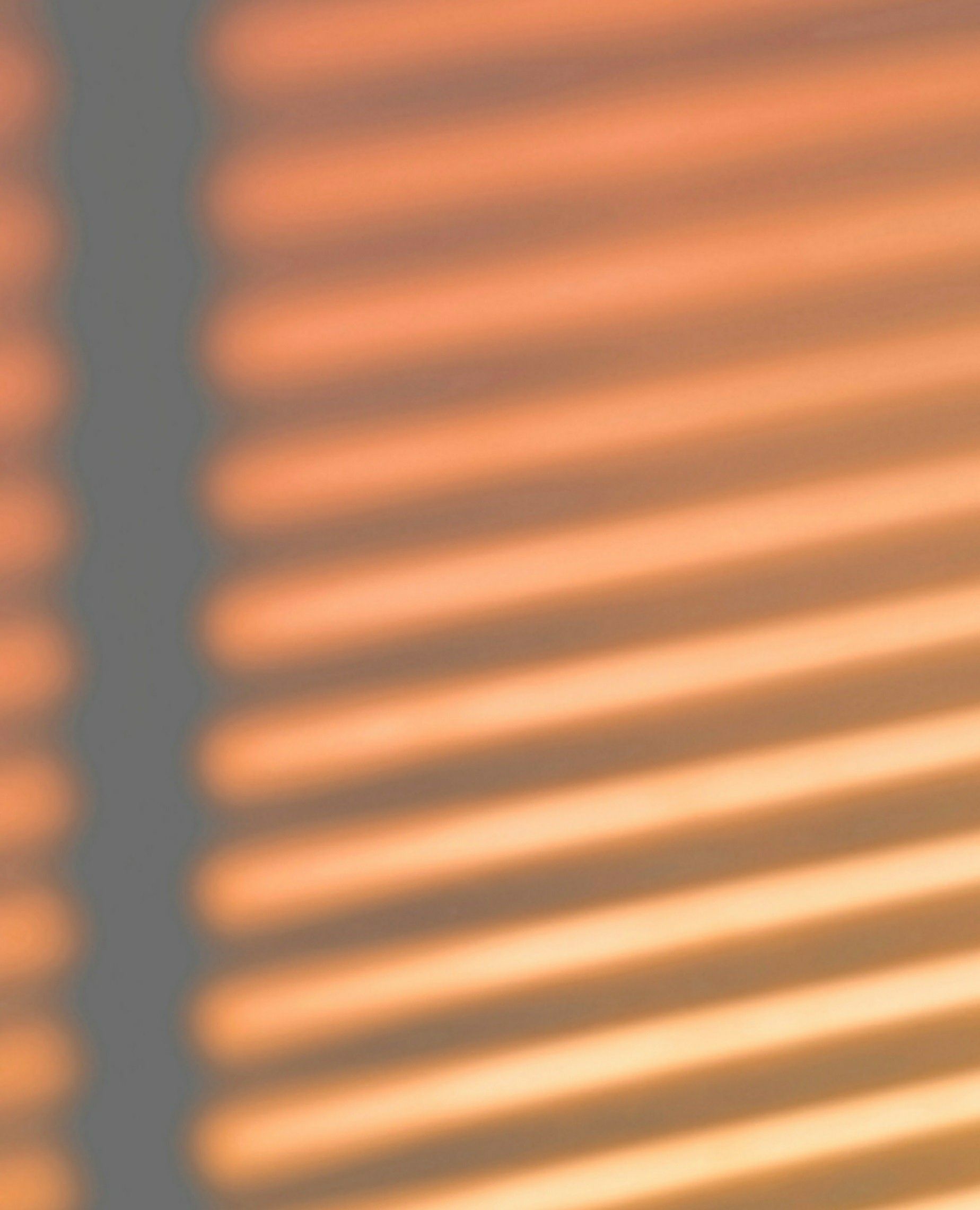 https://www.sellofile.com/storage/images/o5zzjU2E4dcnsTbDWVw0nwo91ffdipYmD0kFxOpM.jpg